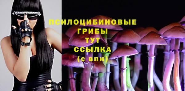 дурь Протвино